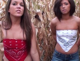Perfect big and perfect small amateur tits in a iowa corn field